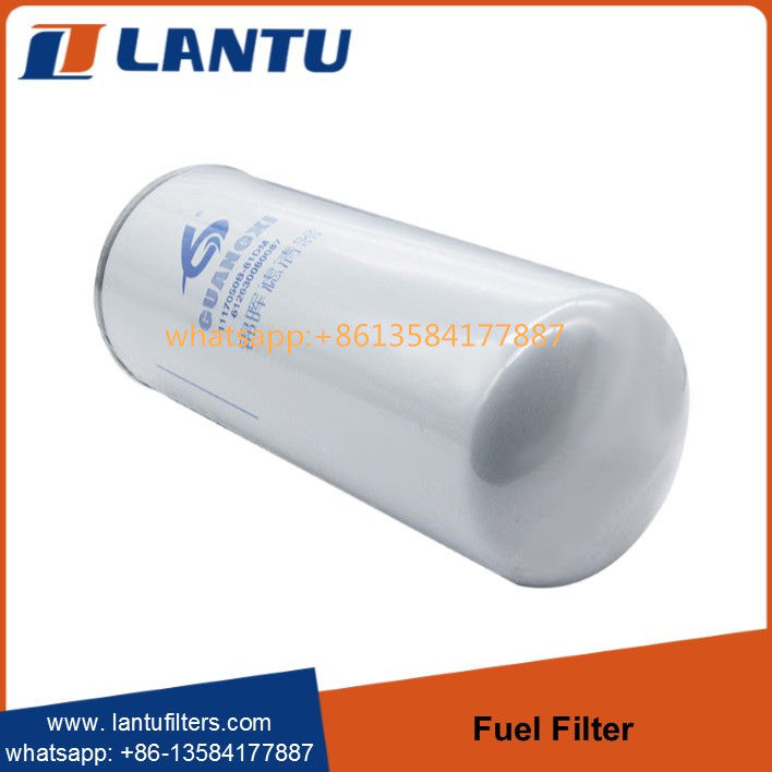 Lantu Fuel filter 612630080087 R010018 FF5740 1000422382 117050A81DM for WEI-CHAI WP10 engine
