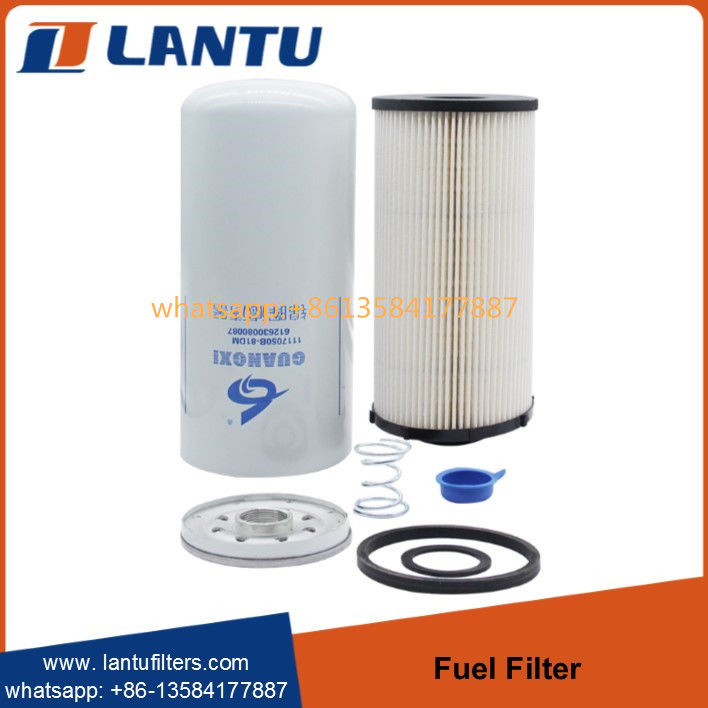 Lantu Fuel filter 612630080087 R010018 FF5740 1000422382 117050A81DM for WEI-CHAI WP10 engine