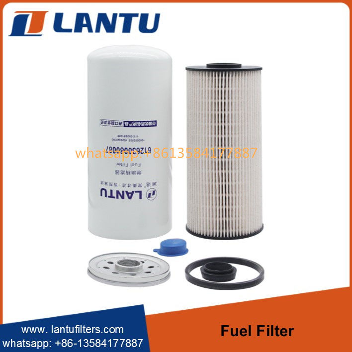 Lantu Diesel Fuel Filter 612630080087 1000053555 1000422382  1117050B81DM FC71090  R010018  Manufacturer